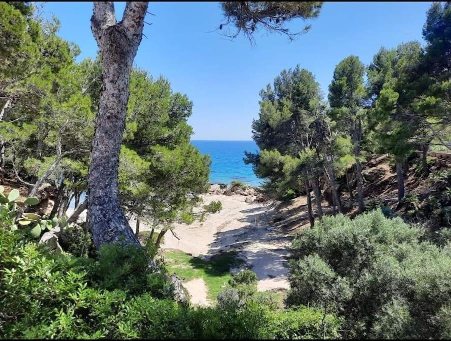 Villa Climatisee Bord De Mer Avec Piscine Privee Miami Playa Zewnętrze zdjęcie